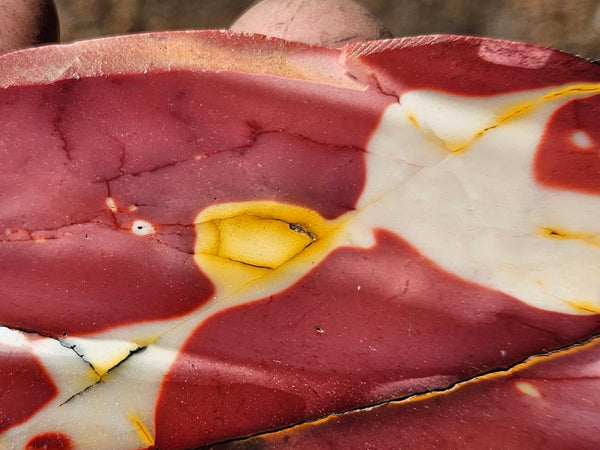 Polished  Mookaite slab MK563