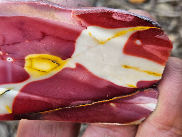Polished  Mookaite slab MK563