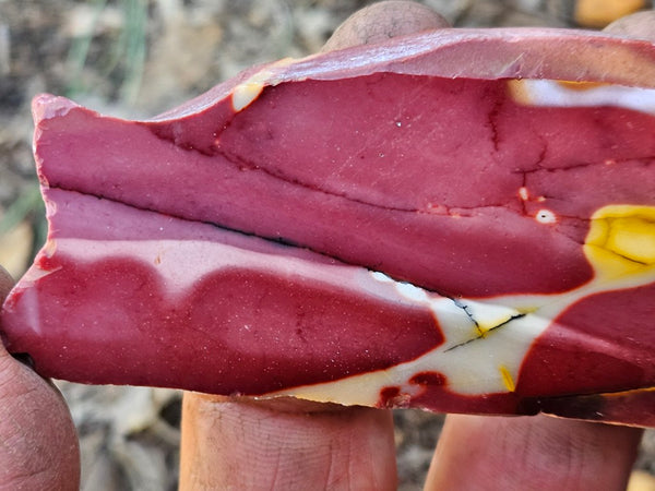 Polished  Mookaite slab MK563