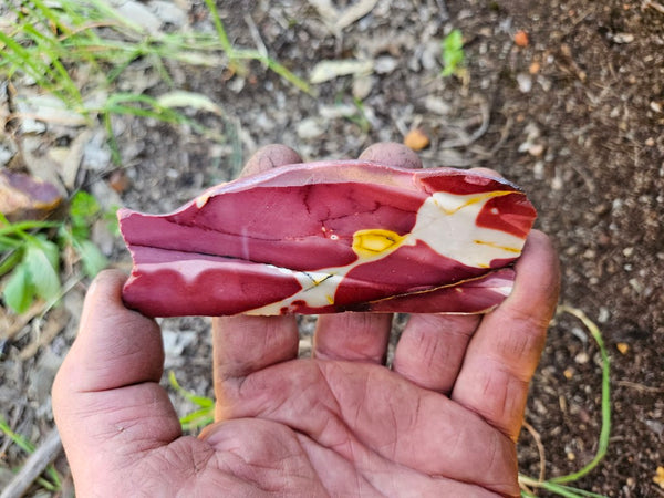 Polished  Mookaite slab MK563