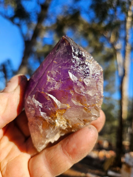 Wyloo Amethyst crystal . AM145