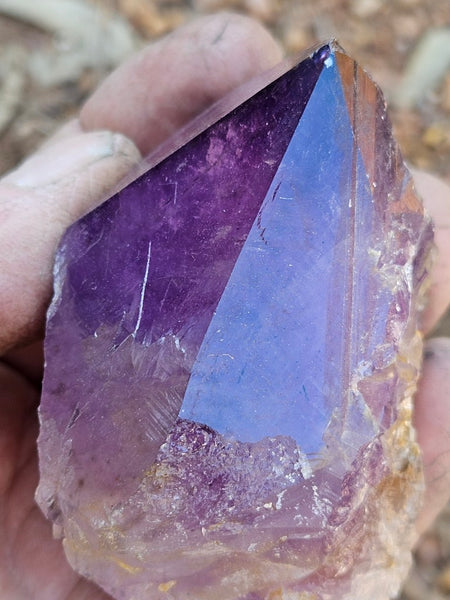 Wyloo Amethyst crystal . AM145