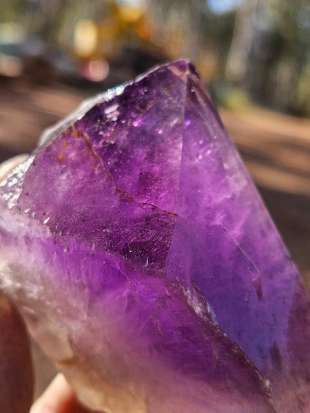 Wyloo Amethyst crystal . AM145