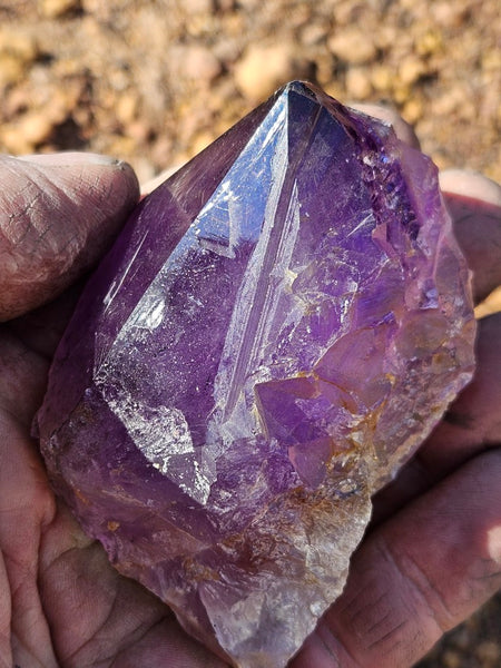 Wyloo Amethyst crystal . AM145