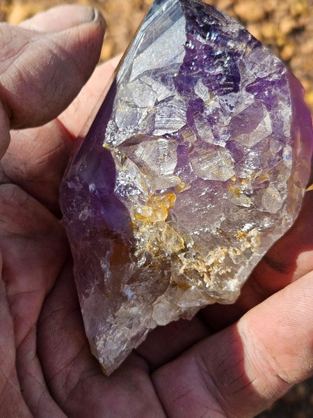 Wyloo Amethyst crystal . AM145