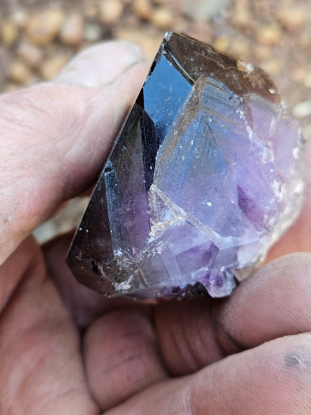 Wyloo Amethyst crystal . AM146