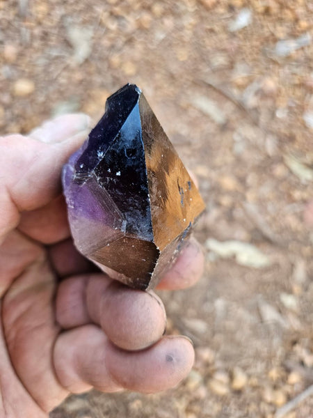 Wyloo Amethyst crystal . AM146