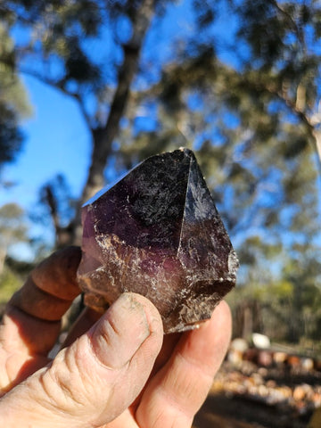 Wyloo Amethyst crystal . AM147