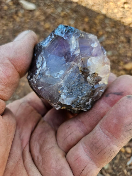 Wyloo Amethyst crystal . AM147