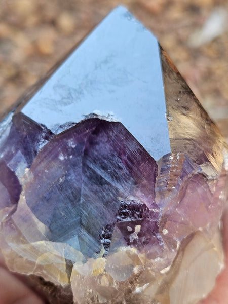 Wyloo Amethyst crystal . AM147