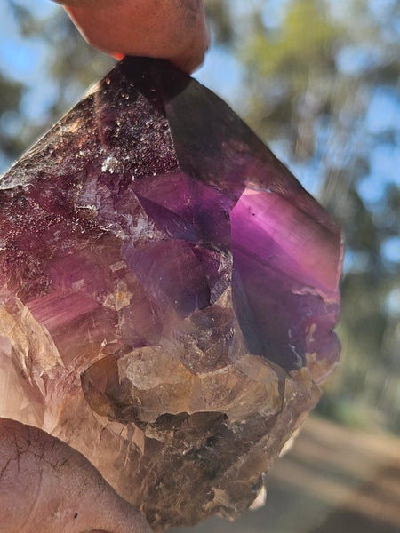 Wyloo Amethyst crystal . AM147