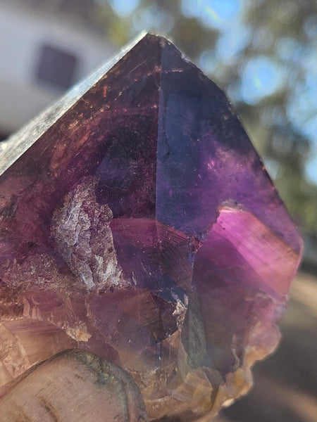 Wyloo Amethyst crystal . AM147