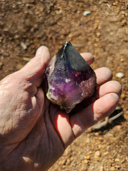 Wyloo Amethyst crystal . AM147