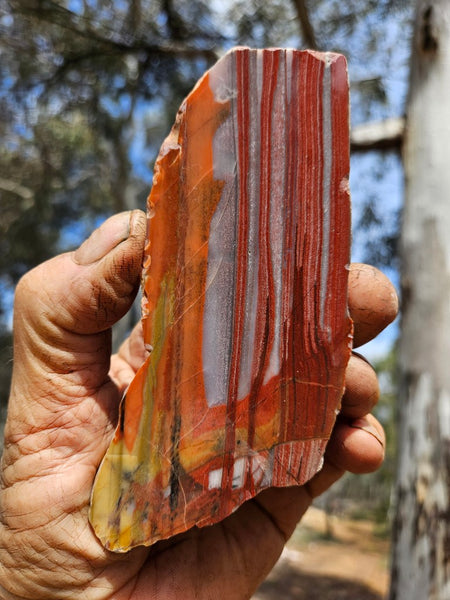 Polished Marble Bar Chert slab MB101