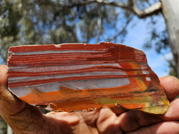 Polished Marble Bar Chert slab MB101