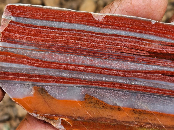 Polished Marble Bar Chert slab MB101
