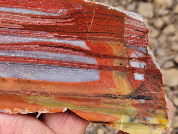 Polished Marble Bar Chert slab MB101
