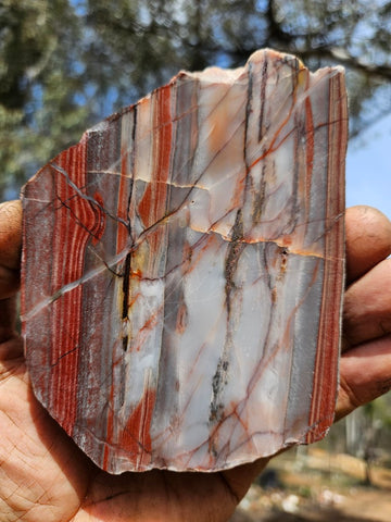 Polished Marble Bar Chert slab MB102