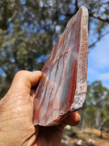 Polished Marble Bar Chert slab MB102