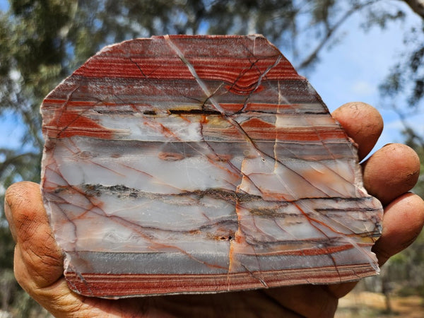 Polished Marble Bar Chert slab MB102