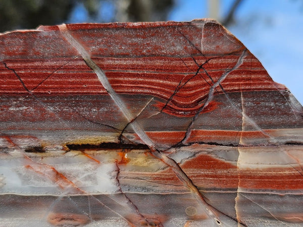 Polished Marble Bar Chert slab MB102
