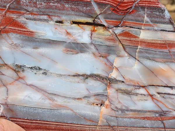 Polished Marble Bar Chert slab MB102