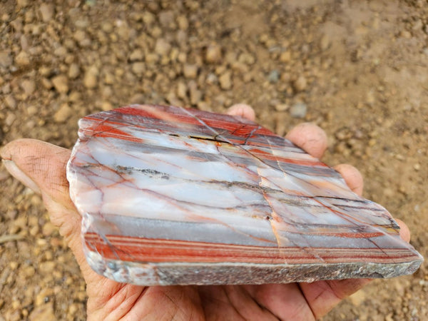 Polished Marble Bar Chert slab MB102