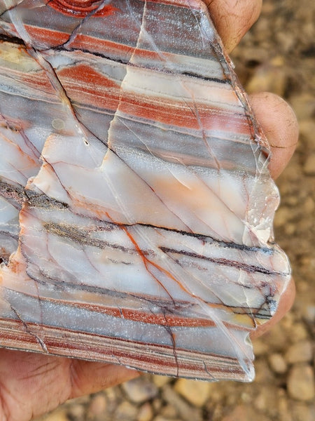 Polished Marble Bar Chert slab MB102