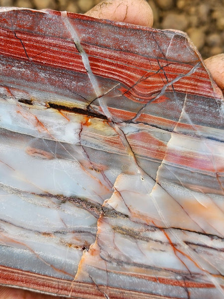 Polished Marble Bar Chert slab MB102