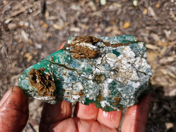 Chrysoprase rough.  CHR 208