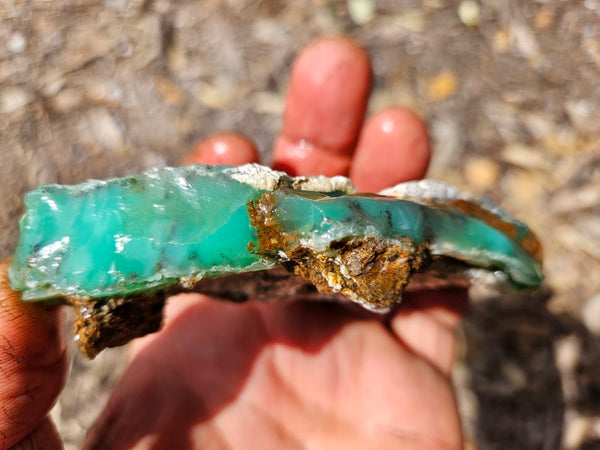 Chrysoprase rough.  CHR 208