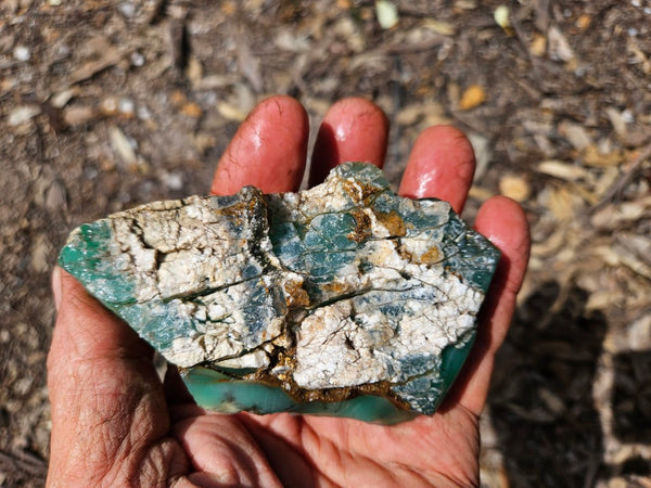 Chrysoprase rough.  CHR 208