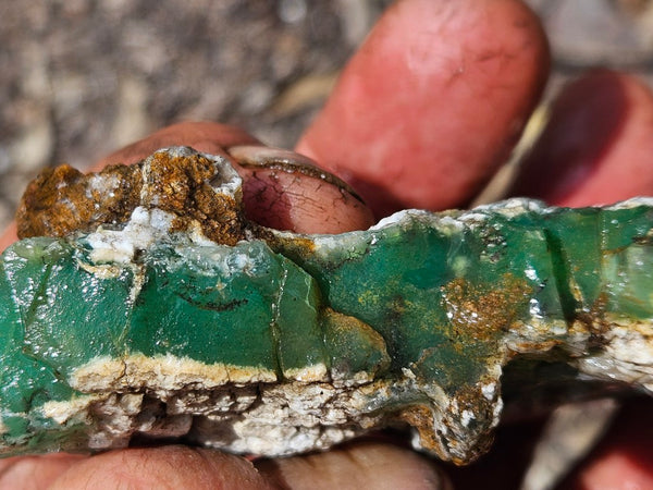 Chrysoprase rough.  CHR 208