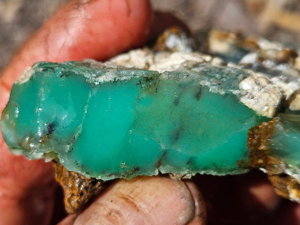 Chrysoprase rough.  CHR 208