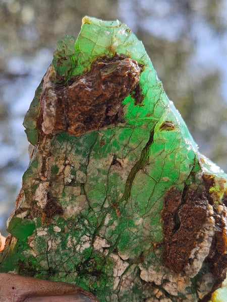 Chrysoprase rough.  CHR 208