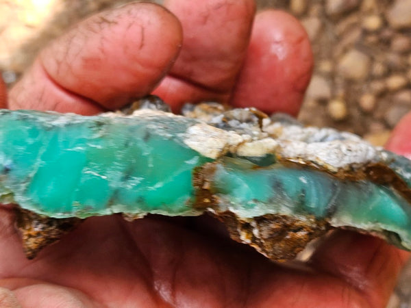 Chrysoprase rough.  CHR 208