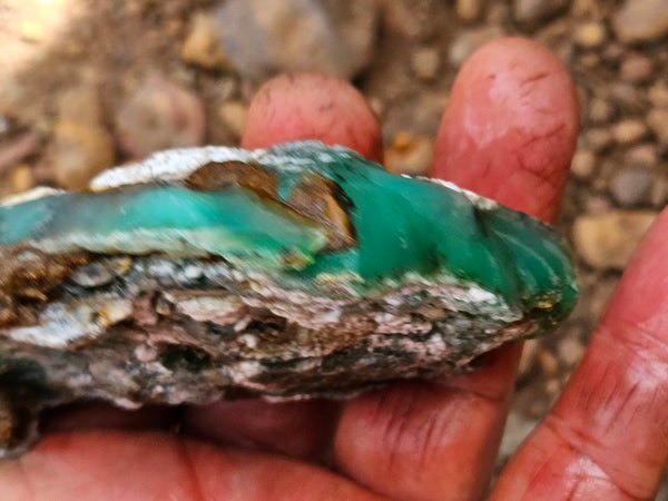 Chrysoprase rough.  CHR 208