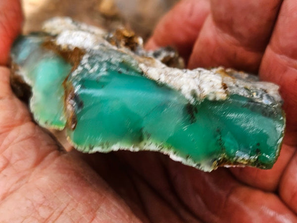Chrysoprase rough.  CHR 208