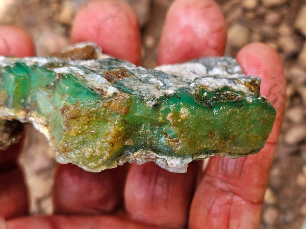 Chrysoprase rough.  CHR 208
