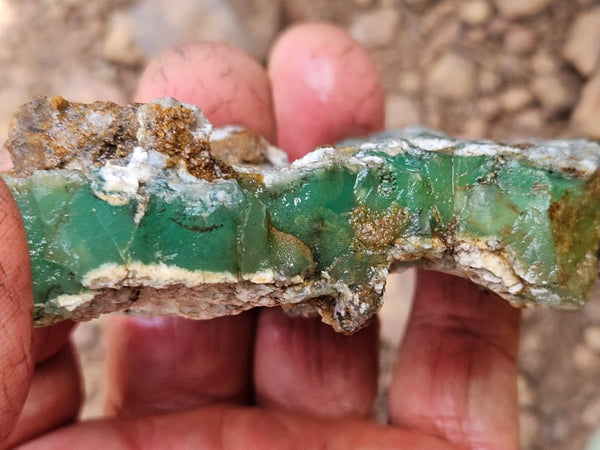 Chrysoprase rough.  CHR 208