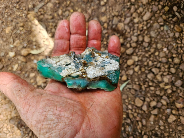Chrysoprase rough.  CHR 208