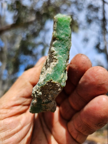 Chrysoprase rough.  CHR 209