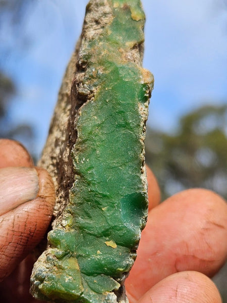 Chrysoprase rough.  CHR 209