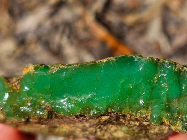 Chrysoprase rough.  CHR 209