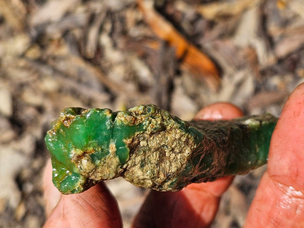 Chrysoprase rough.  CHR 209
