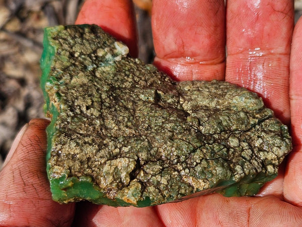Chrysoprase rough.  CHR 209