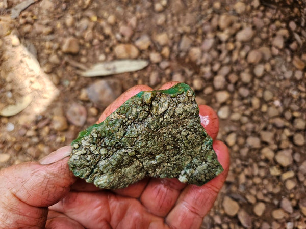 Chrysoprase rough.  CHR 209