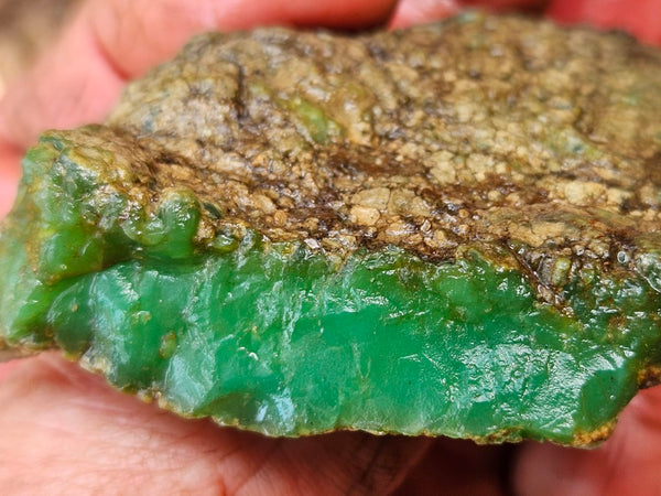 Chrysoprase rough.  CHR 209