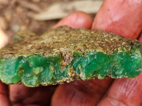 Chrysoprase rough.  CHR 209