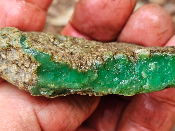 Chrysoprase rough.  CHR 209